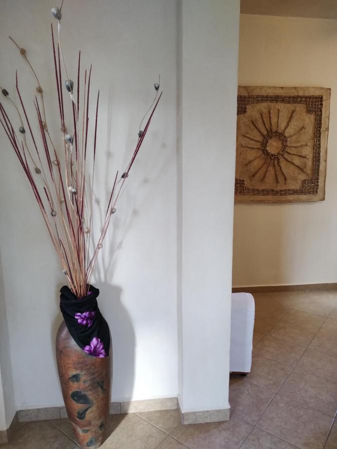 Balanca Studios Puerto Morelos Esterno foto