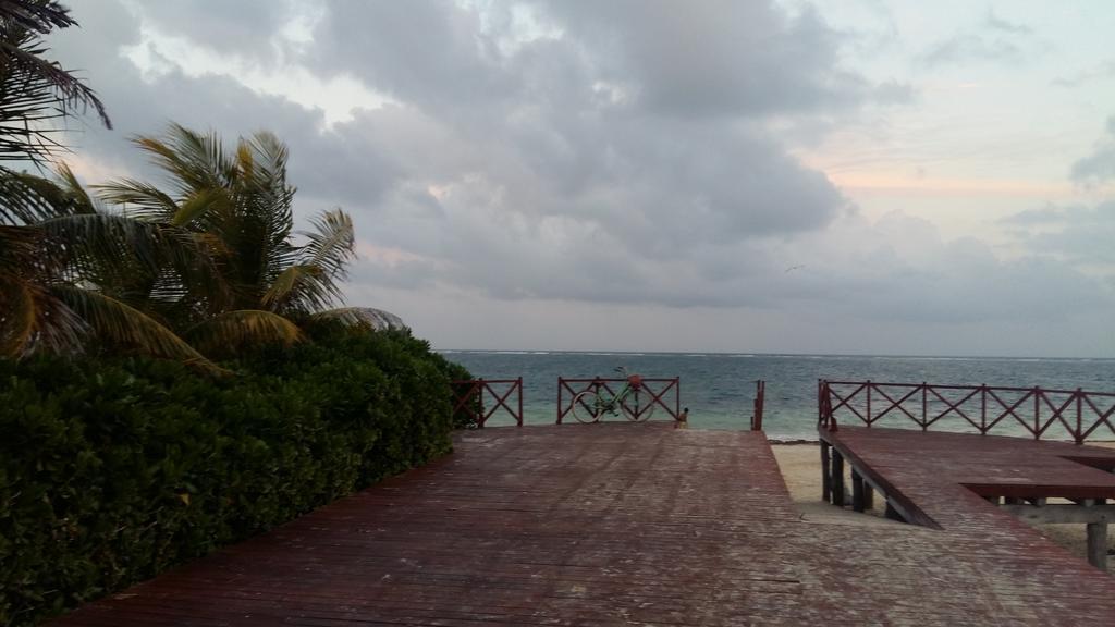 Balanca Studios Puerto Morelos Esterno foto